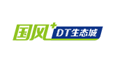 国风网络